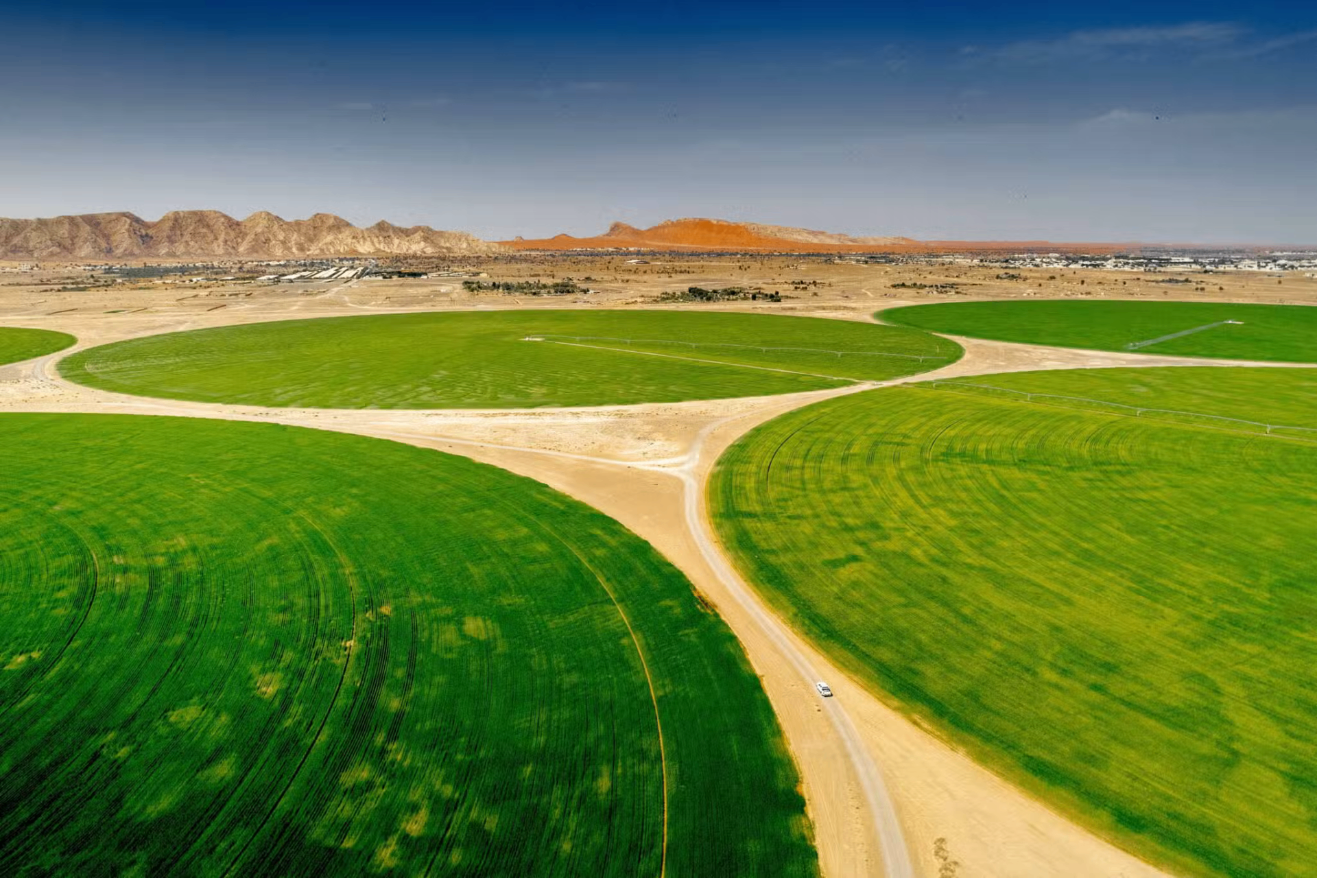 Agriculture